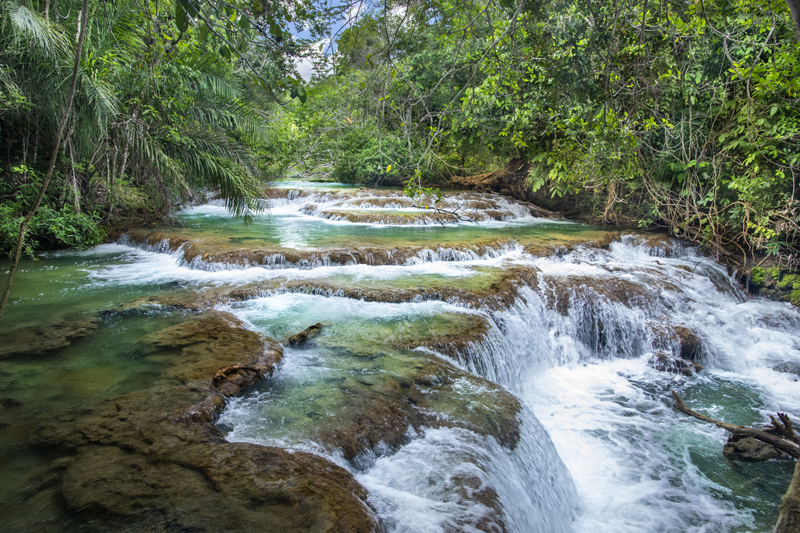Bonito - Photo by Hudson Garcia (12)